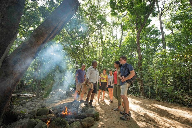 Daintree Dreaming Traditional Aboriginal Fishing From Cairns or Port Douglas - Aboriginal Ngadiku Walk