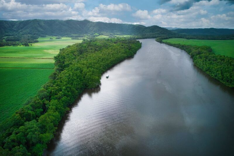 Daintree: Lower Daintree Crocodile & Wildlife Cruise - Experience Highlights