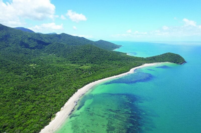 Daintree: Lower Daintree Crocodile & Wildlife Cruise - What to Expect
