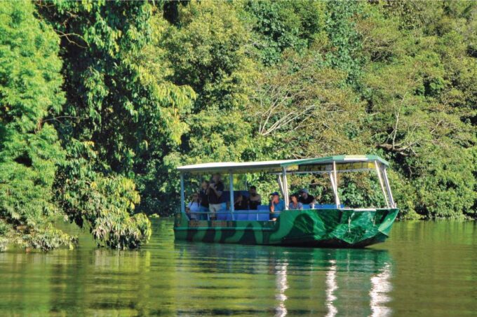Daintree: Lower Daintree Crocodile & Wildlife Cruise - Recap