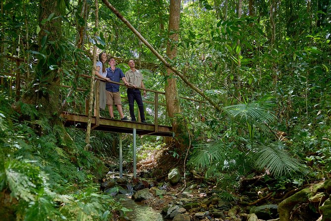 Daintree Rainforest and Cape Tribulation Day Tour From Cairns - Reviews
