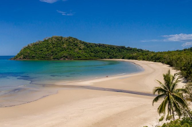 Daintree Rainforest and Cape Tribulation Day Tour From Cairns - Additional Information