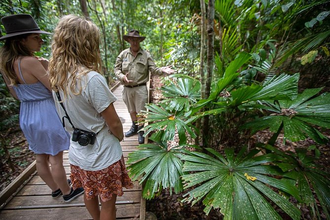 Daintree Rainforest and Cape Tribulation Full Day Tour - Customer Feedback