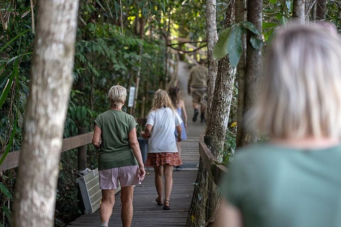 Daintree Rainforest and Cape Tribulation Full Day Tour - What to Expect
