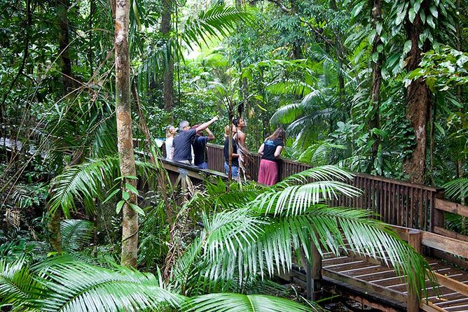Daintree Rainforest and Mossman Gorge: Full or Half Day Tour - Inclusions and Exclusions