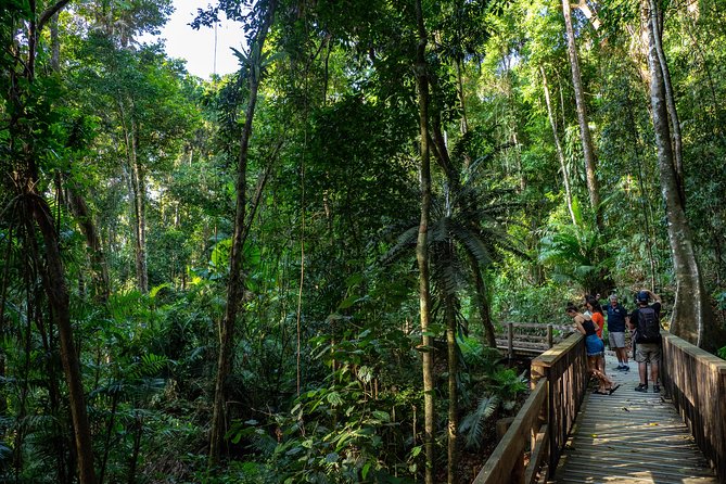 Daintree Rainforest and Mossman Gorge: Full or Half Day Tour - Tour Duration Options