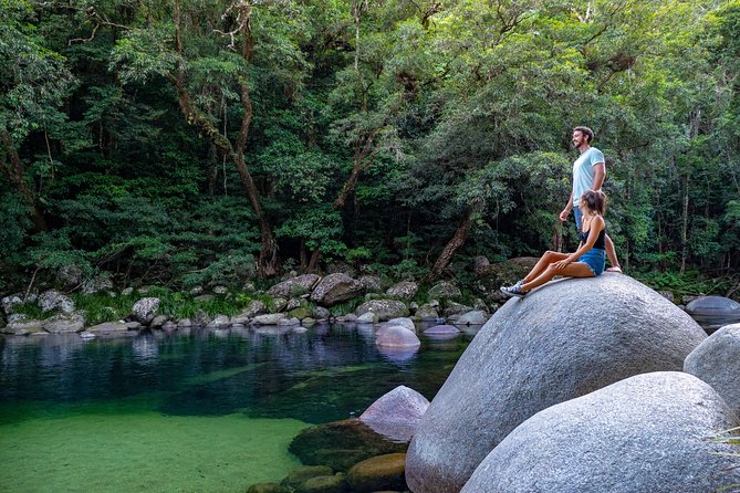 Daintree Rainforest and Mossman Gorge: Full or Half Day Tour - Customer Reviews and Ratings