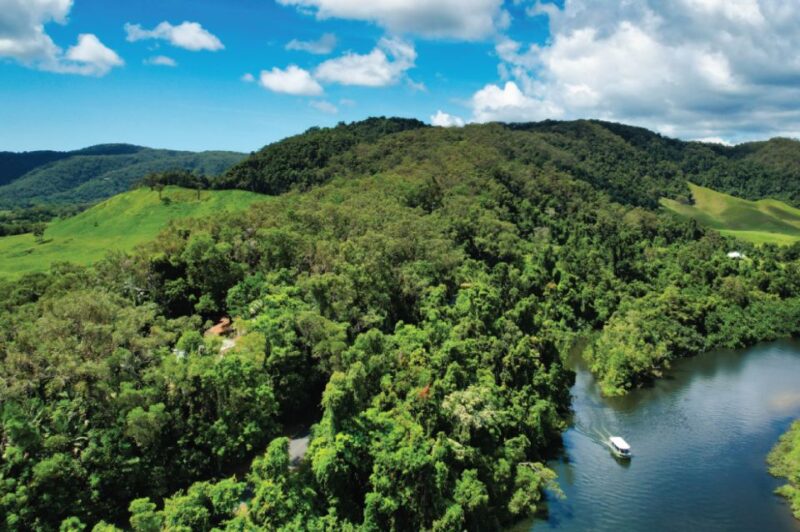 Daintree Rainforest: Crocodile & Wildlife River Cruises - Experience Highlights
