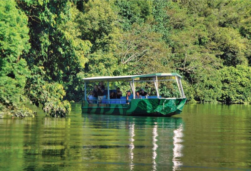 Daintree Rainforest: Crocodile & Wildlife River Cruises - Cruise Routes