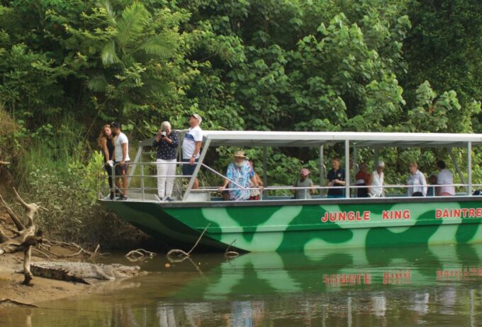 Daintree Rainforest: Crocodile & Wildlife River Cruises - Pricing and Booking