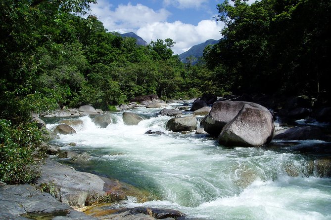 Daintree Rainforest, Mossman Gorge Small-Group From Port Douglas - Daintree Ice Cream Company