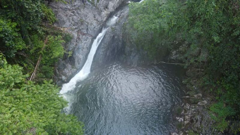 Daintree Rainforest: Waterfall Walk, Swim & Crocodile Cruise - FAQs