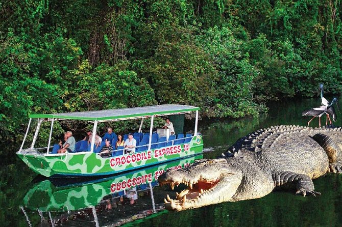 Daintree River Cruise - Confirmation and Booking