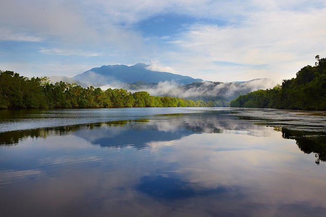 Daintree River Dawn Cruise With the Daintree Boatman - Meeting Point and Transportation