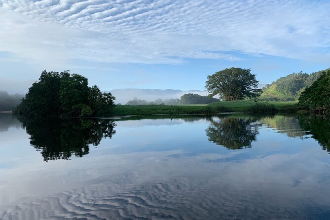 Daintree River Sunset Cruise With the Daintree Boatman - Learning About the Ecosystem