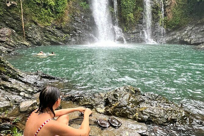 Daintree Waters Tour - An In-Depth Look at the Daintree Waters Tour