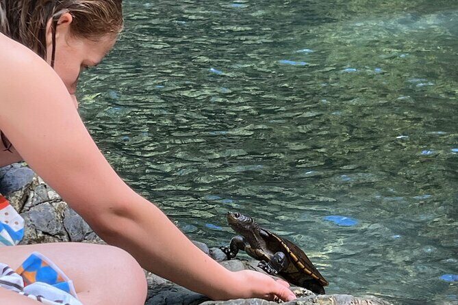 Daintree Waters Tour - Final Thoughts