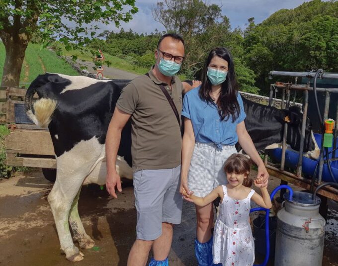 Dairy Farm Visit and Cow Milking Experience in Azores - What to Expect