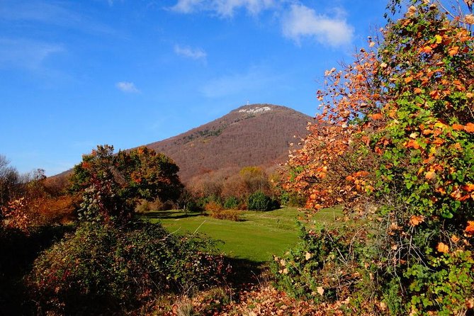 Dajti National Park by Cable Car - About Your Stay