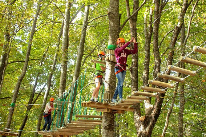 Dajti National Park by Cable Car - Tips for Visiting