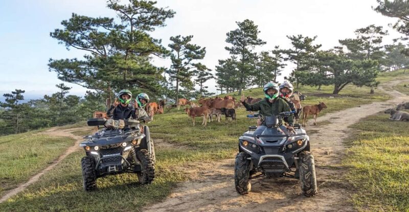 Dalat ATV Discovery: Highland Adventure on Scenic Trails - Key Points