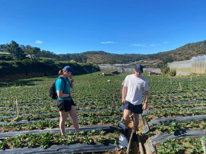 Dalat: ATV Drive 3 Hours - Price and Booking