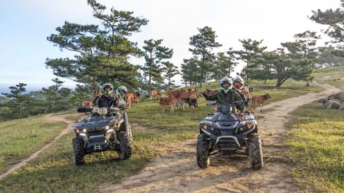 Dalat: ATV Drive 3 Hours - Starting Times