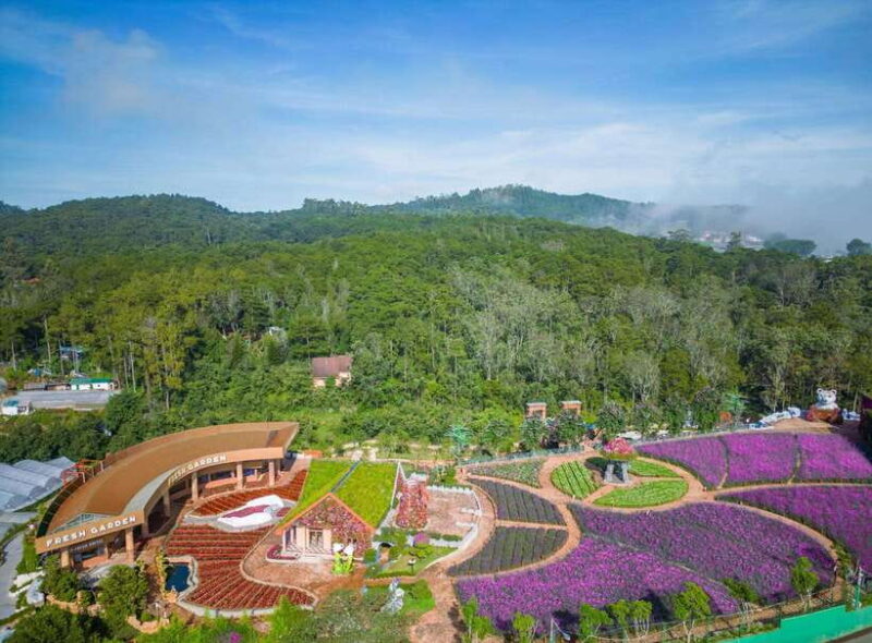DaLat: Check In at the Most Famous Tourist Attractions - The Forest and Gach Since 1988 Coffee Shop