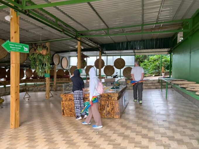 Dalat: Countryside Tour With Elephant Falls and Silk Village - Linh An Pagoda Visit
