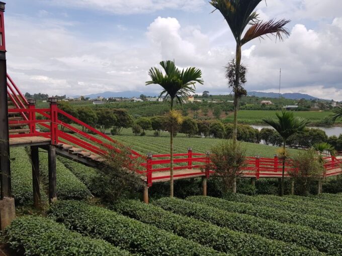 Dalat: Countryside Tour With Silk Village & Elephant Falls - Local Rice Wine Tasting