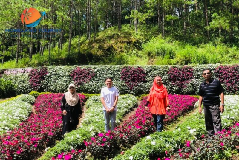 Dalat Culture Tour - Juicy Strawberry Picking Experience