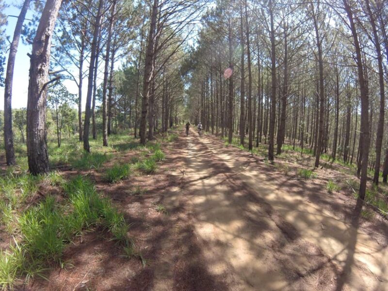 Dalat: Elephant Waterfall Countryside Bike Tour - Tour Inclusions