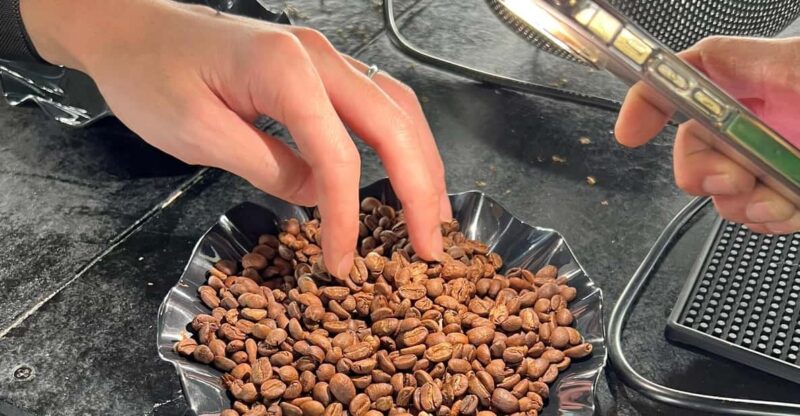 Dalat Half-Day Coffee Experience Tour - Key Points