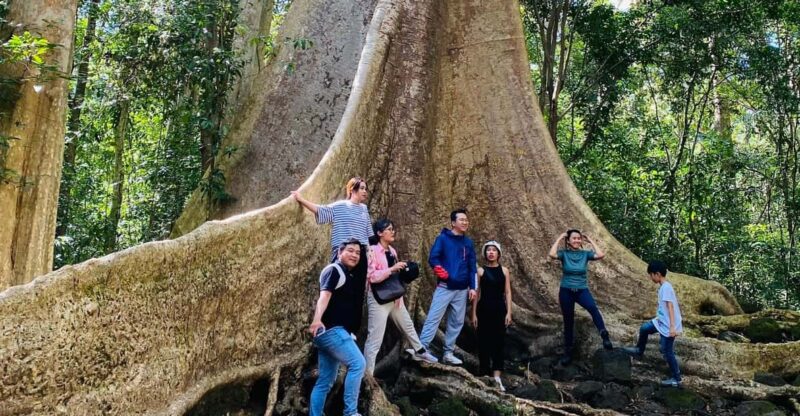 Dalat Jungle Fever Trekk - Key Points