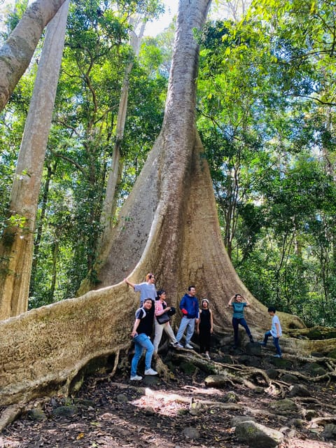 Dalat Jungle Fever Trekk - Inclusions and Recommendations