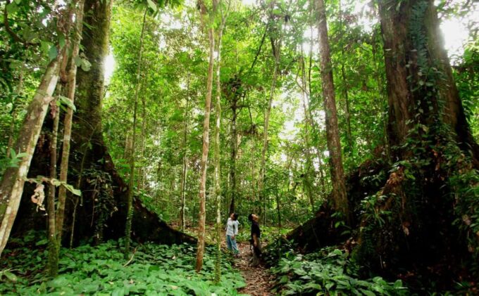 Dalat Jungle Fever Trekk - Tour Start and Transportation