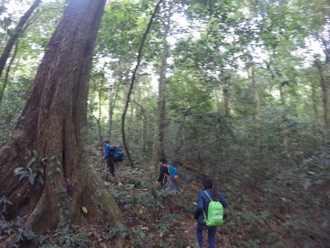 Dalat Jungle Fever Trekk - Frequently Asked Questions