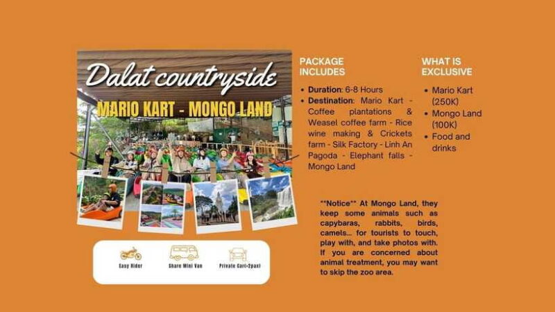 Dalat: Mario Kart - Crazy House - Countryside Tour - Spiritual Sanctuary