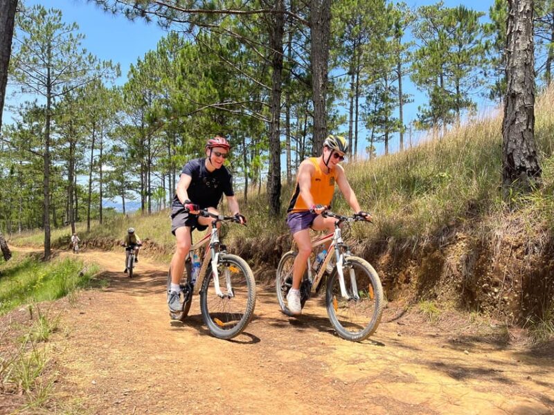 Dalat Mountain Biking Tour - Terrain and Experience