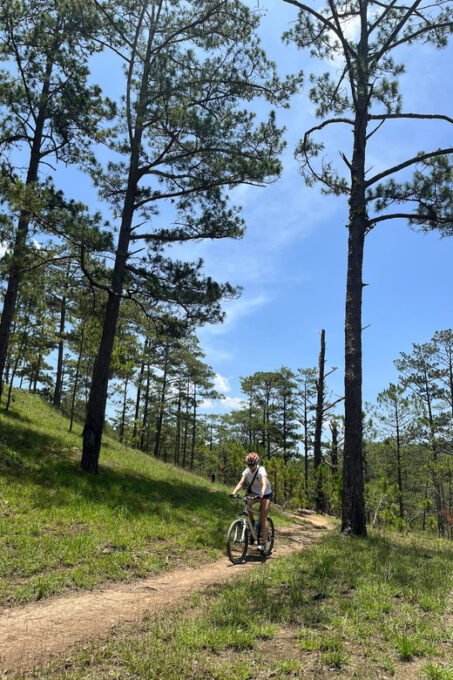 Dalat Mountain Biking Tour - Contact Information