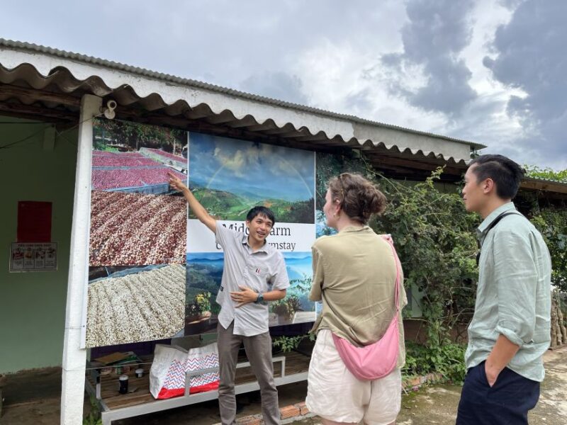 Dalat Organic Farm, Discover How to Make Specialty Coffee - Roasting Arabica and Robusta Coffee