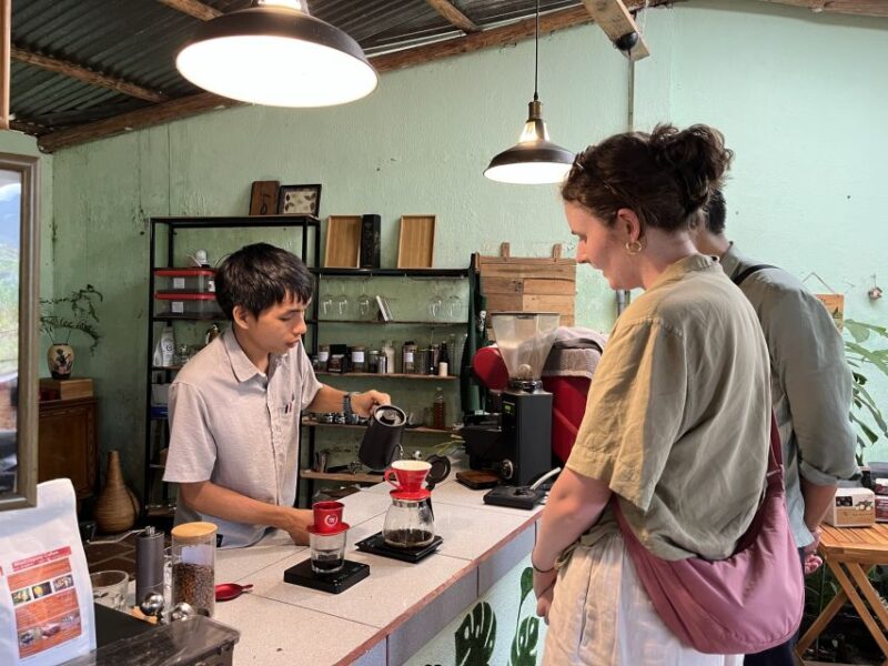Dalat Organic Farm, Discover How to Make Specialty Coffee - Evaluating and Grading Green Coffee