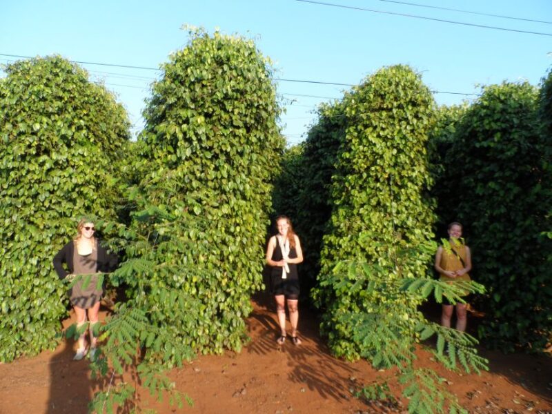 Dalat: Outskirts and Waterfalls Tour - Key Points