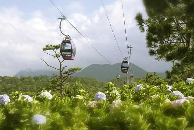 Dalat Private Tour Package in 2 Days - Experience Highlights