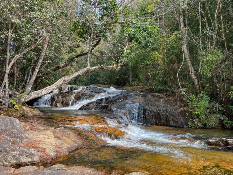 Dalat: Silent Tour Hiking, Swiming Waterfall - Base A Activities
