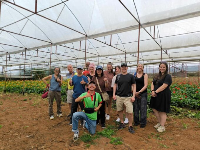 Dalat: Three Waterfalls Tour ( Pongour, Datanla, Elephant ) - Participant Information