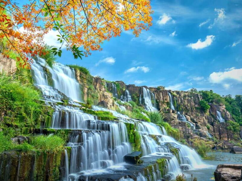 Dalat to Cat Tien National Park & Ho Chi Minh (2 or 3 Days) - Day 1: Dalat City – Cat Tien National Park