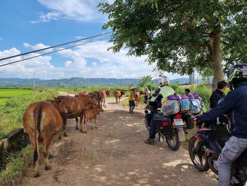 Dalat to Cat Tien National Park & Ho Chi Minh (2 or 3 Days) - Customer Experiences and Reviews