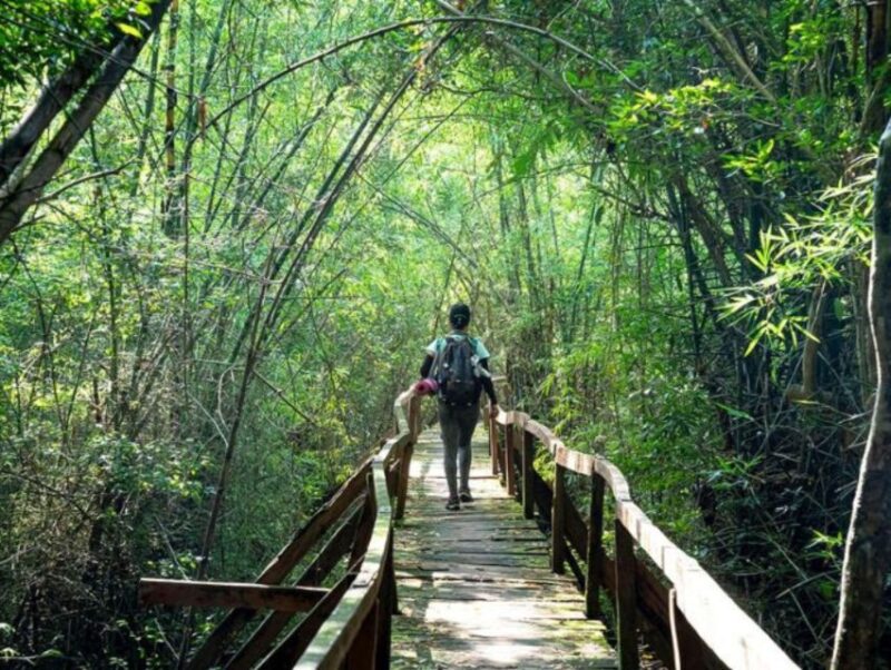Dalat to Cat Tien National Park & Saigon (3 Days) - Key Points