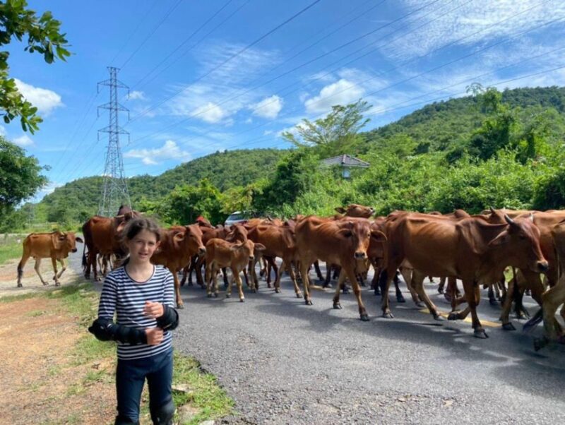 Dalat to Cat Tien National Park & Saigon (3 Days) - Day 2: Exploring Cat Tien